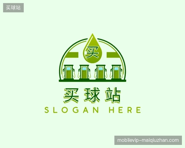关于买球站官方网站